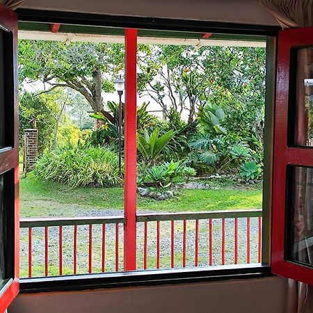 Casa Laureles Apartman Filandia Kültér fotó
